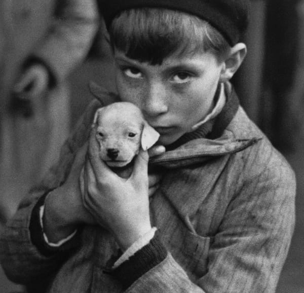 Andre Kertesz - Boy Holding Puppy, 1928